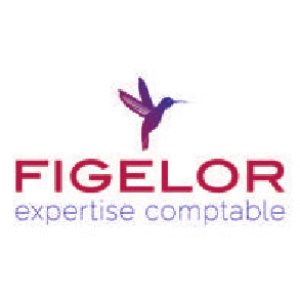 logo_figelor.png