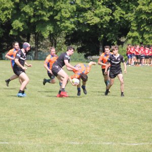 IMG_9665.JPG