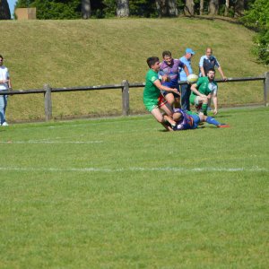 DSC_0233.JPG
